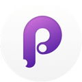 Principle icon
